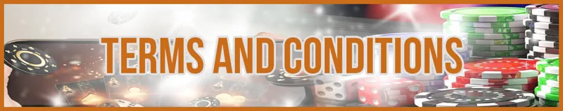 Terms and Conditions banner