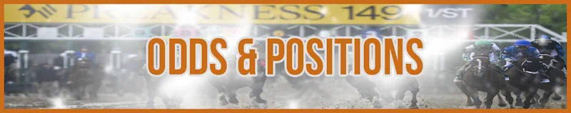 Odds & Positions banner