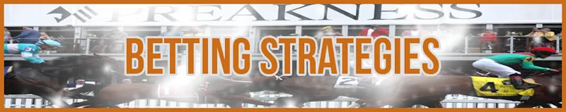 Betting Strategies banner