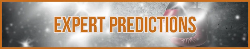 Expert Predictions banner