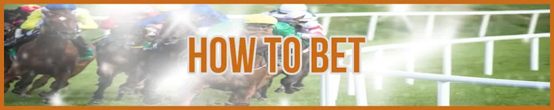 How to Bet banner