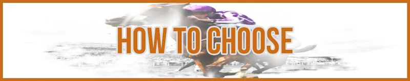 How to Choose banner