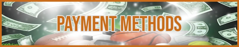 Payment methods banner