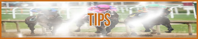Tips banner