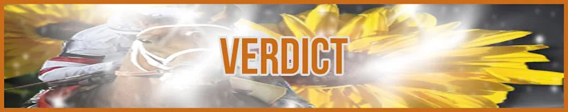 Verdict banner
