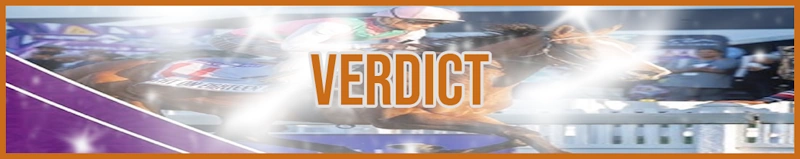 Verdict banner