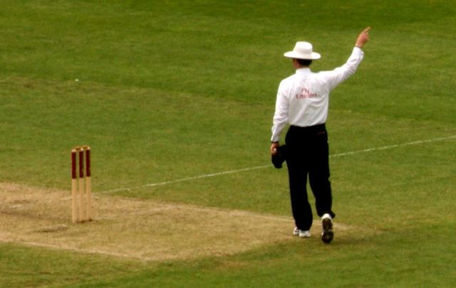 Cricket